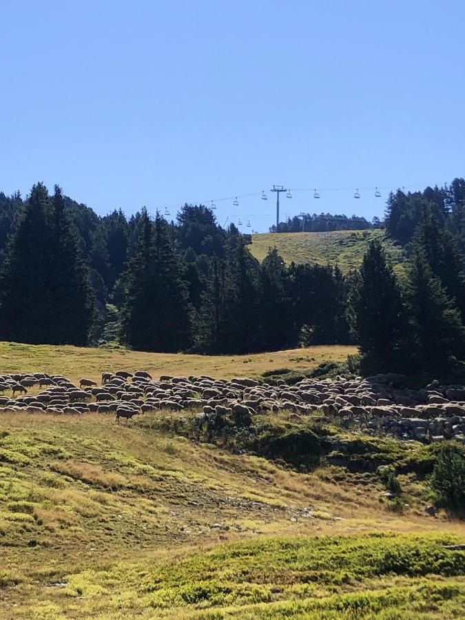 Appartement Cosy A Chamrousse Avec Vue Sur Montagne + 34M² Exterior foto